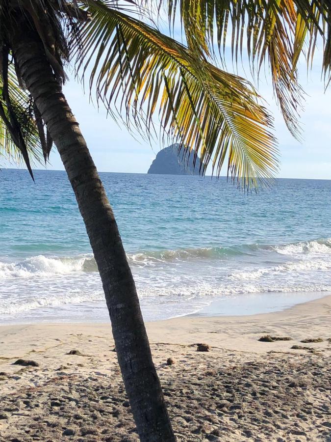 Studio Sainte Anne 2Mn A Pieds De La Plage ,Possibilite Location De Voiture 외부 사진