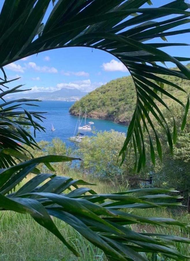 Studio Sainte Anne 2Mn A Pieds De La Plage ,Possibilite Location De Voiture 외부 사진